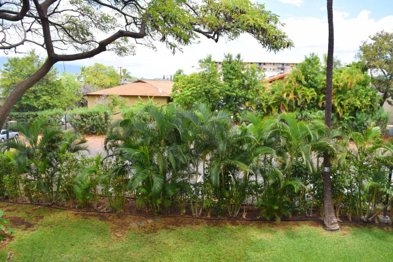 Beautiful Private Condo Walking Distance To Beach Mv2321 คิเฮอิ ภายนอก รูปภาพ